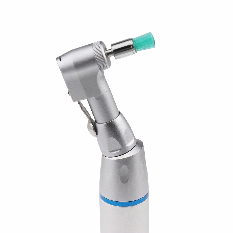 100 Stück/Beutel Einweg-Zahnpo – Teeth Whitening Brush Bewertung und Preis